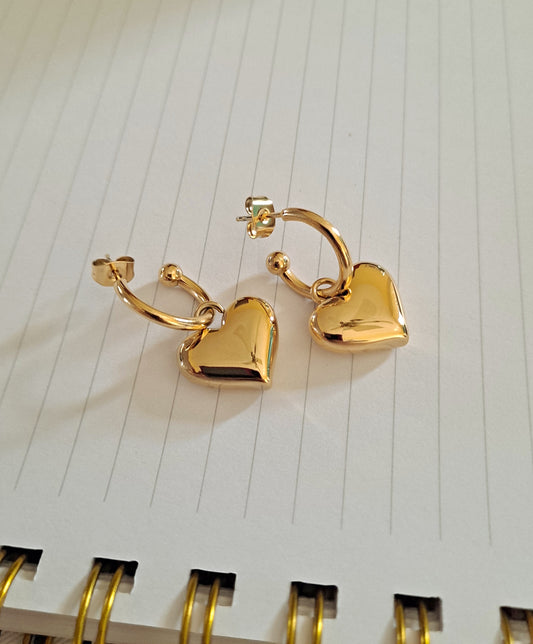 Shakira Earrings